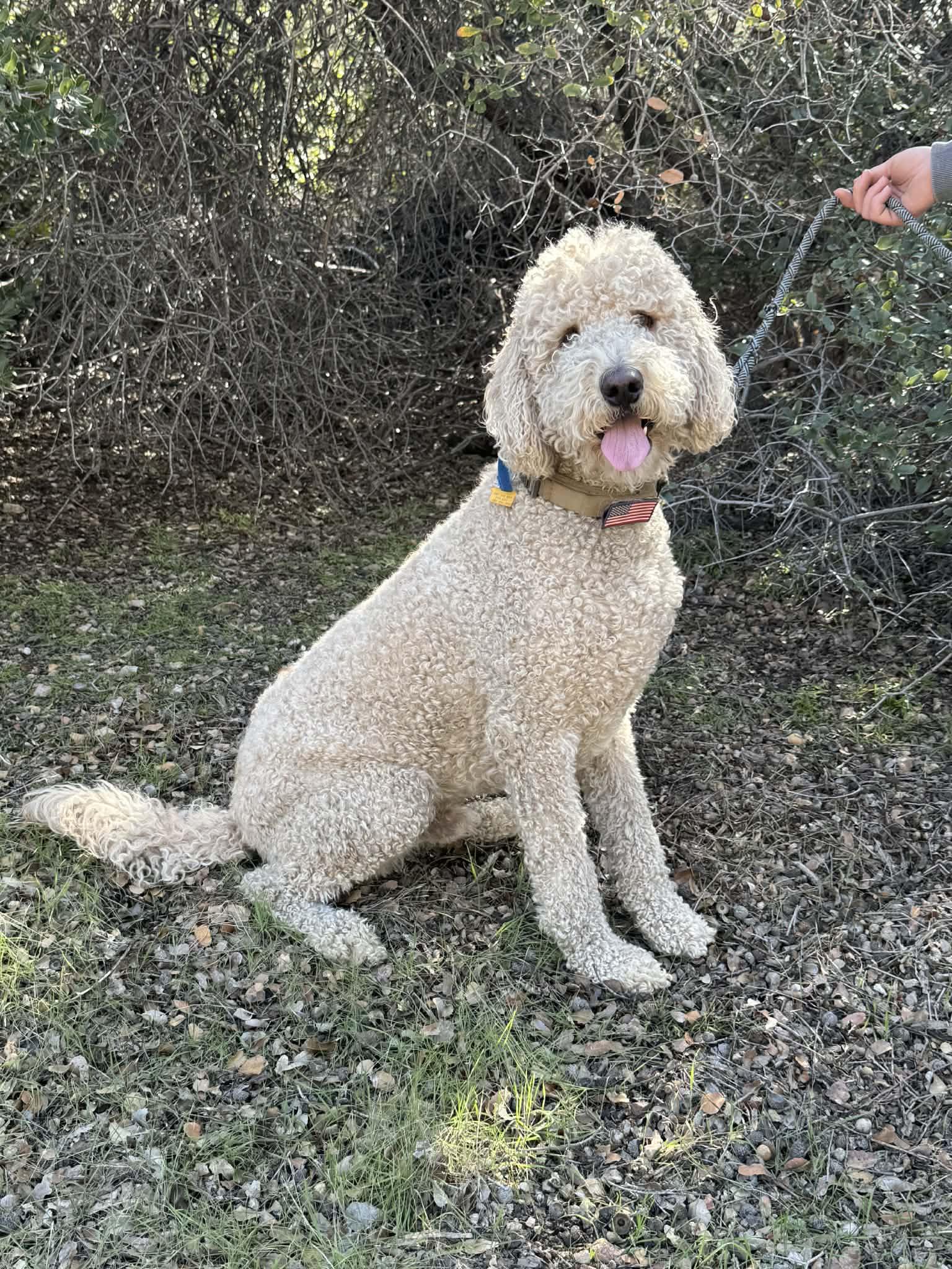 Maverick thumbnail 4