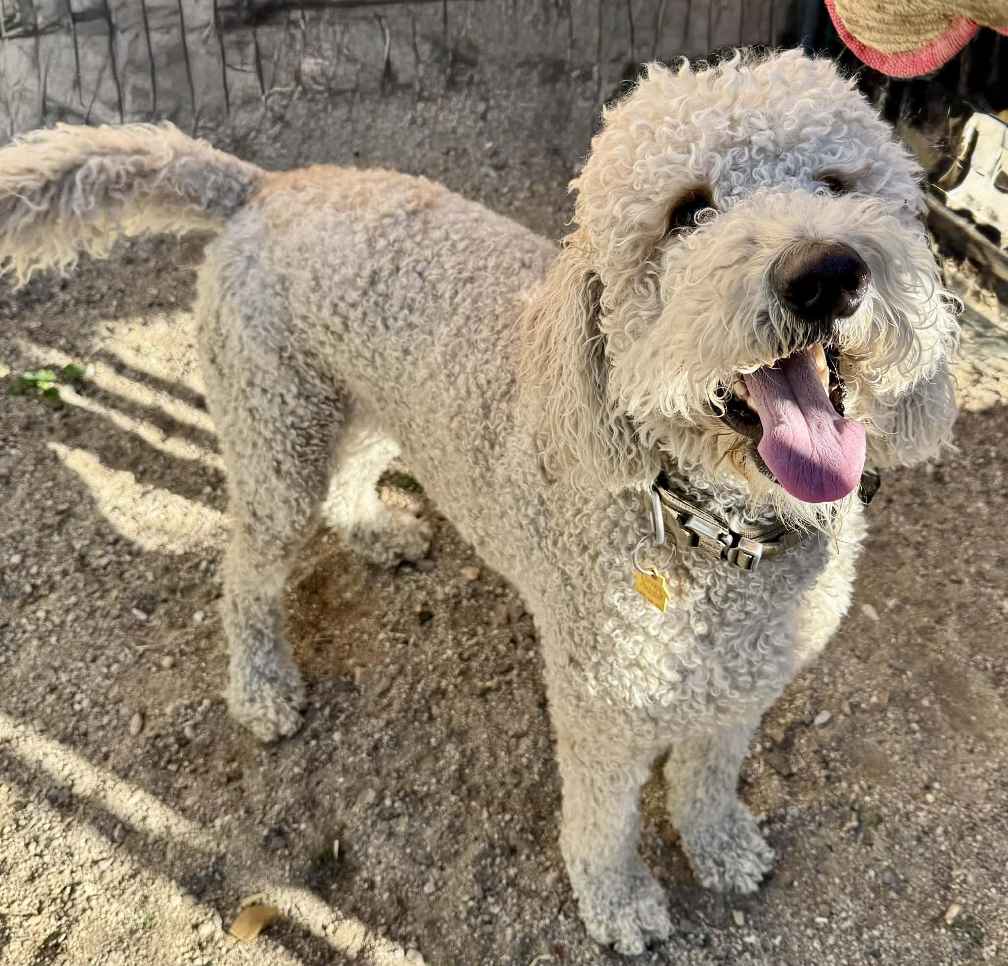 Maverick thumbnail 5