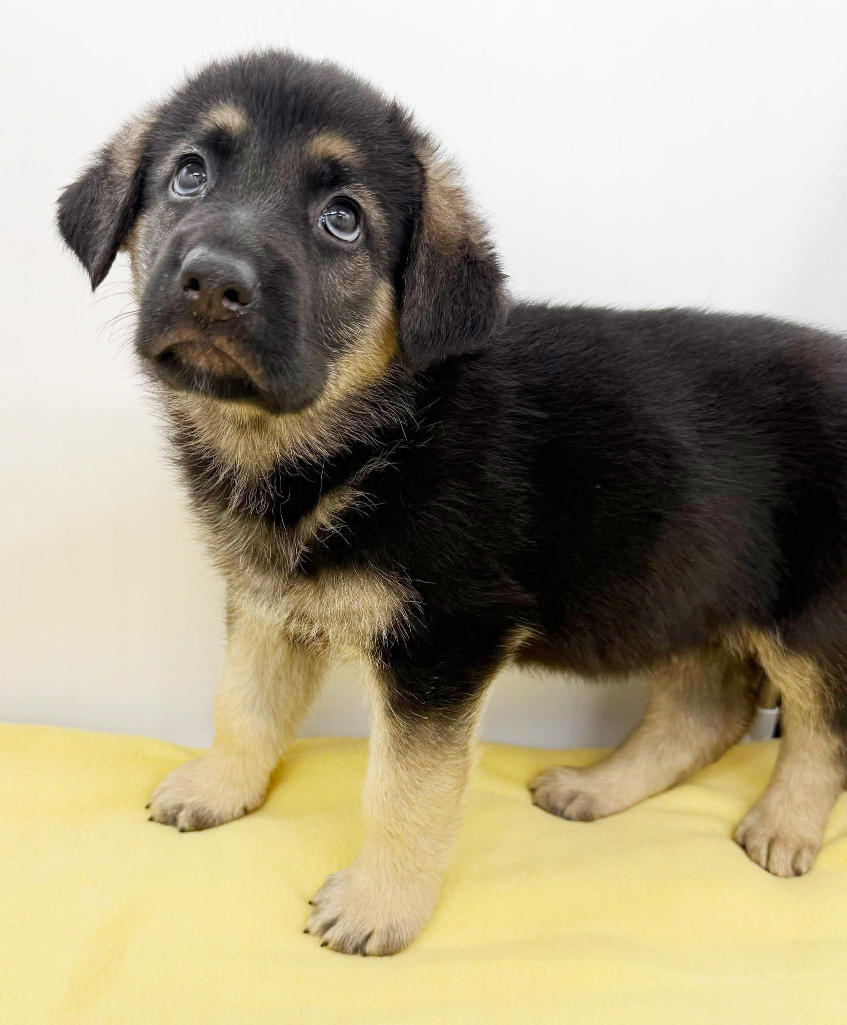 Luca Is A Baby thumbnail 2