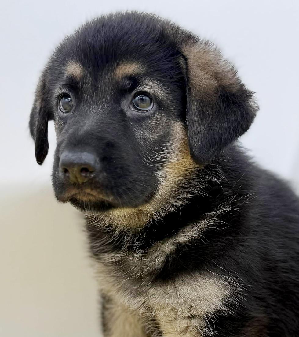 Luca Is A Baby thumbnail 3