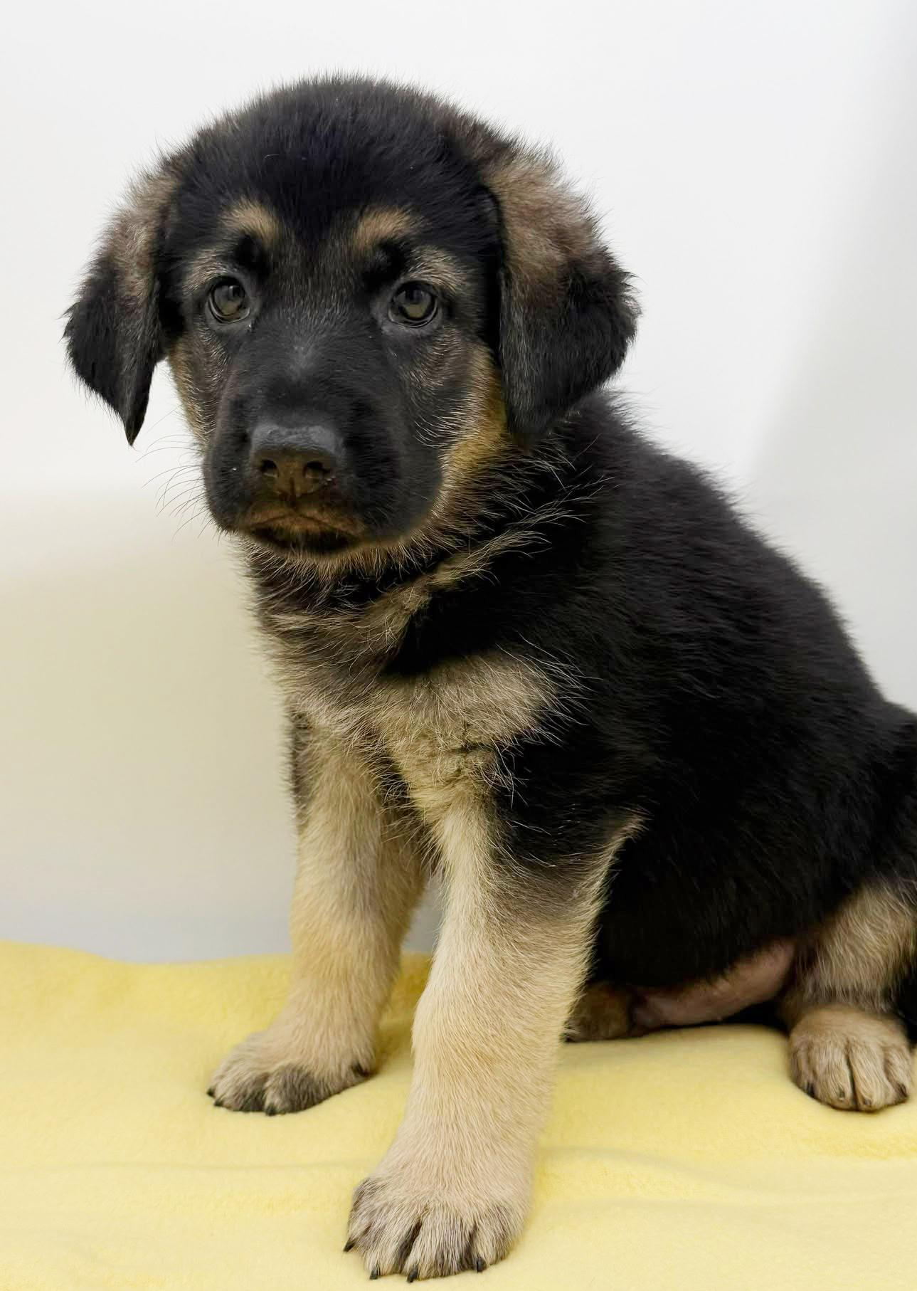 Luca Is A Baby thumbnail 4