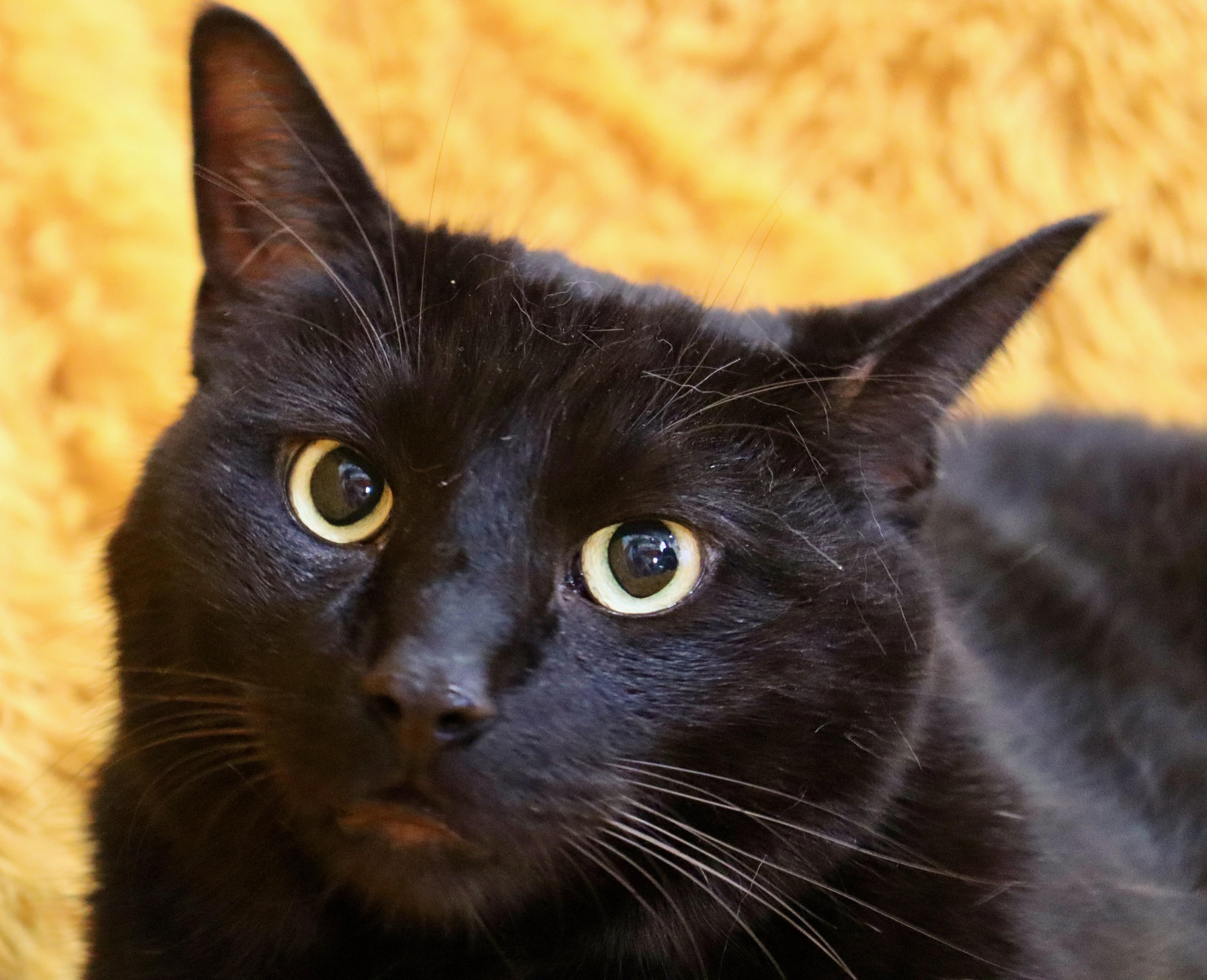 Ellie And Louie thumbnail 2