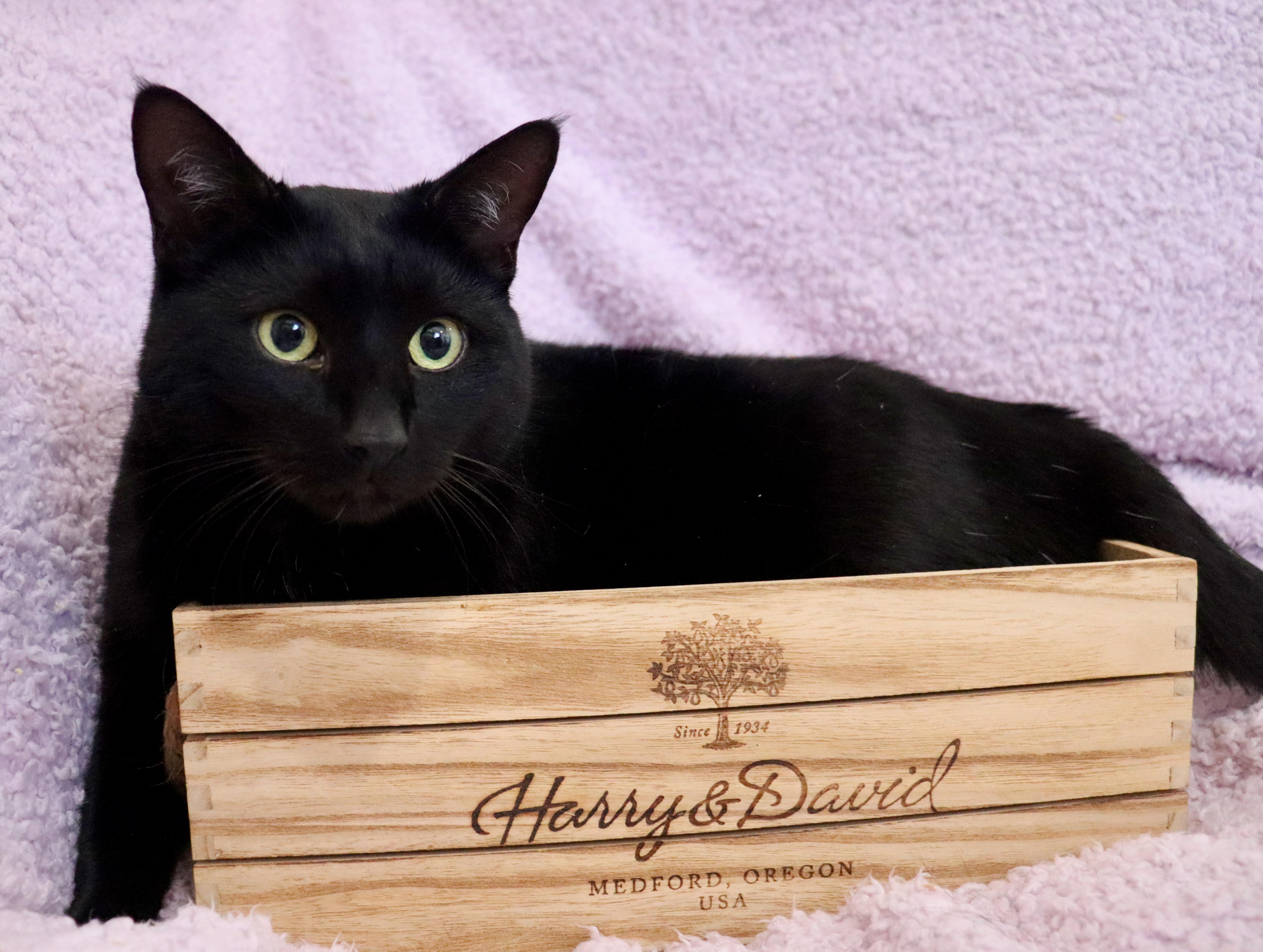 Ellie And Louie thumbnail 3