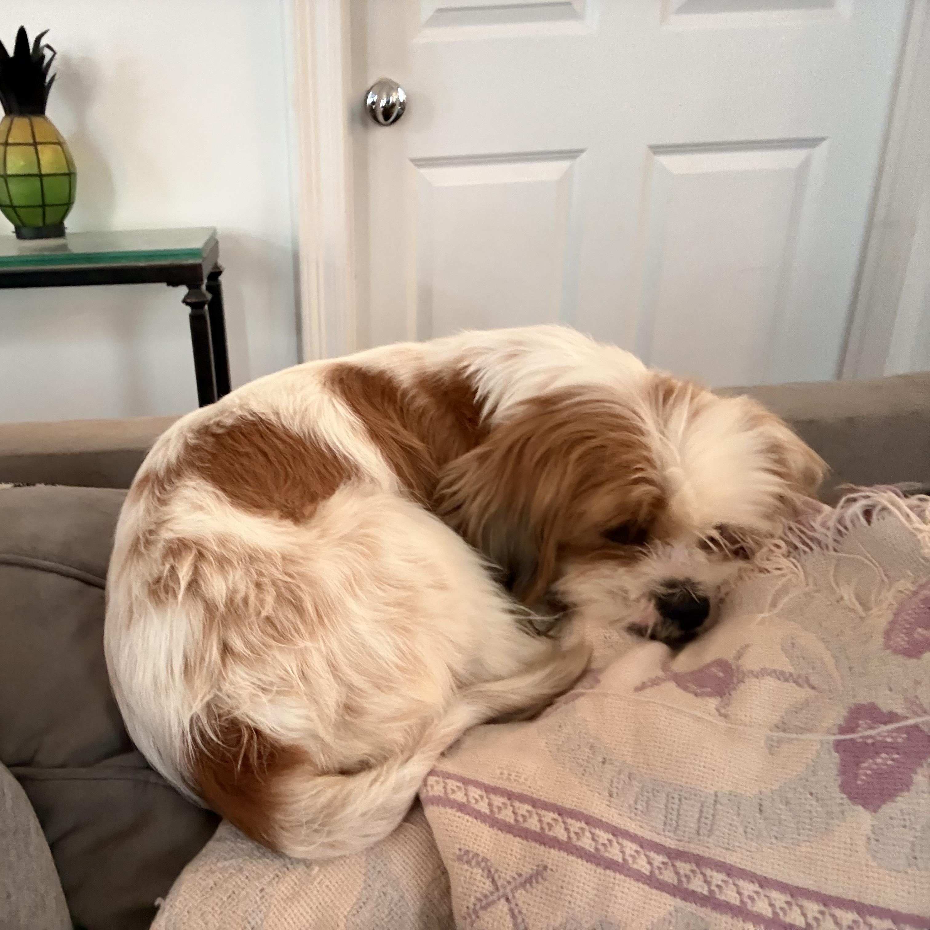 Matilda Aka Tillie thumbnail 3