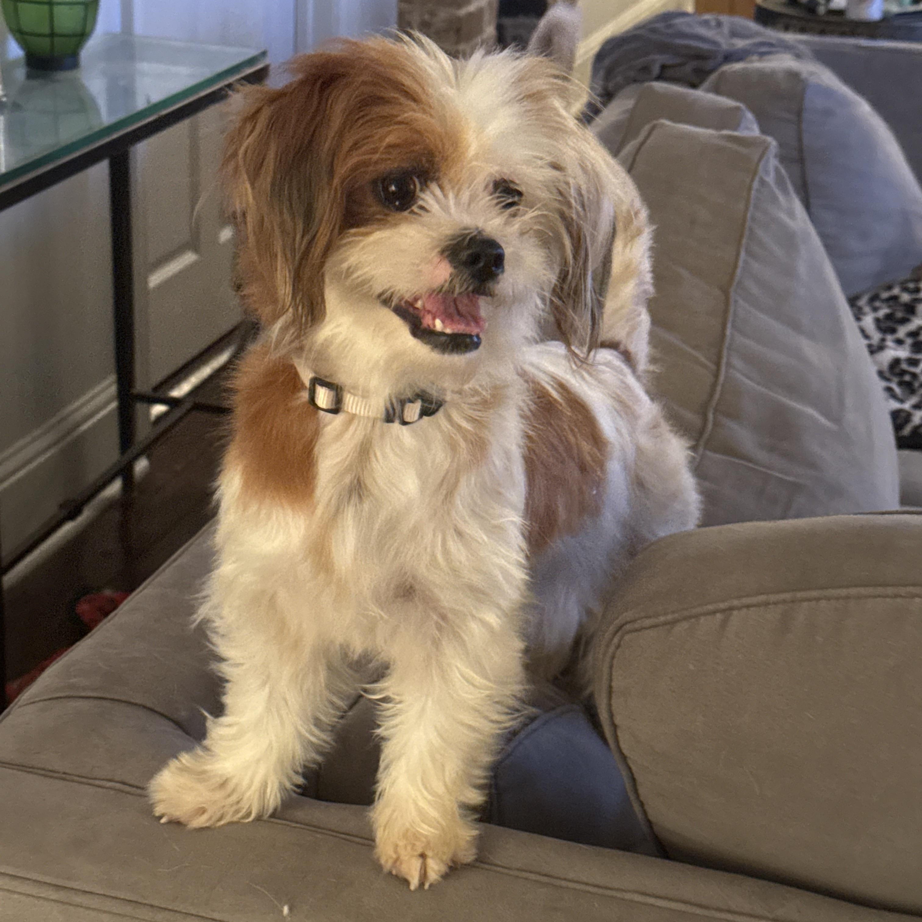 Matilda Aka Tillie thumbnail 4