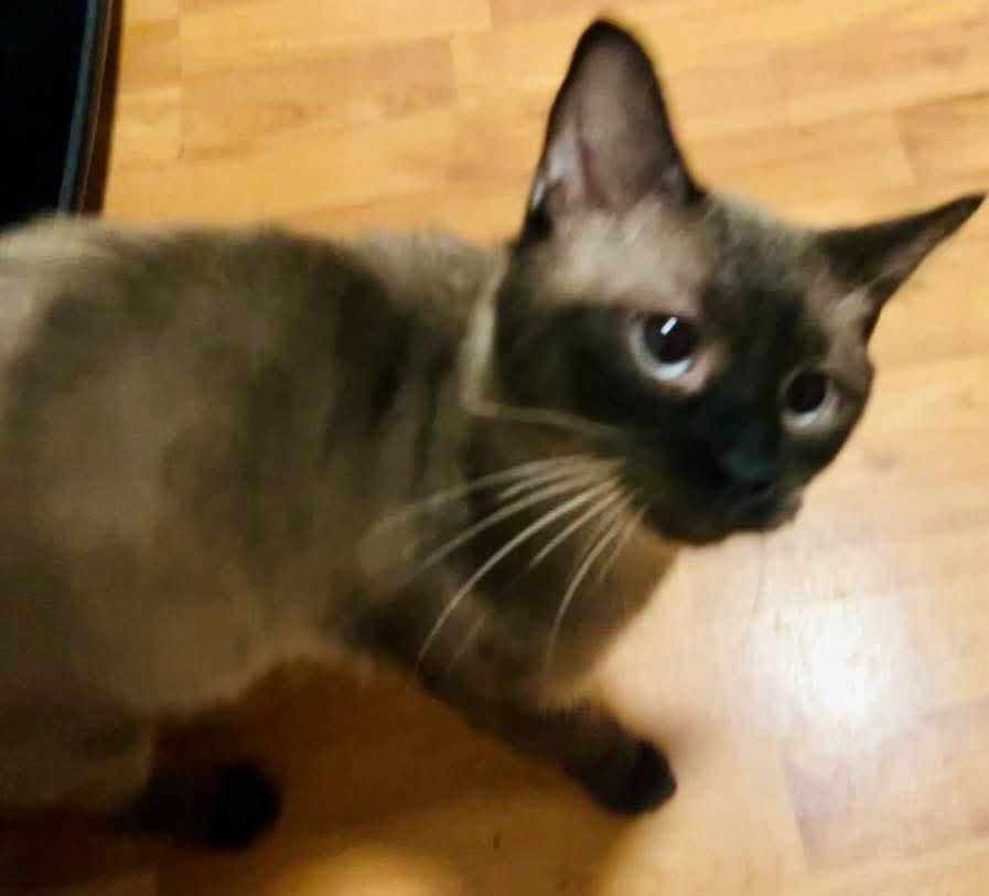 Macintosh thumbnail 2