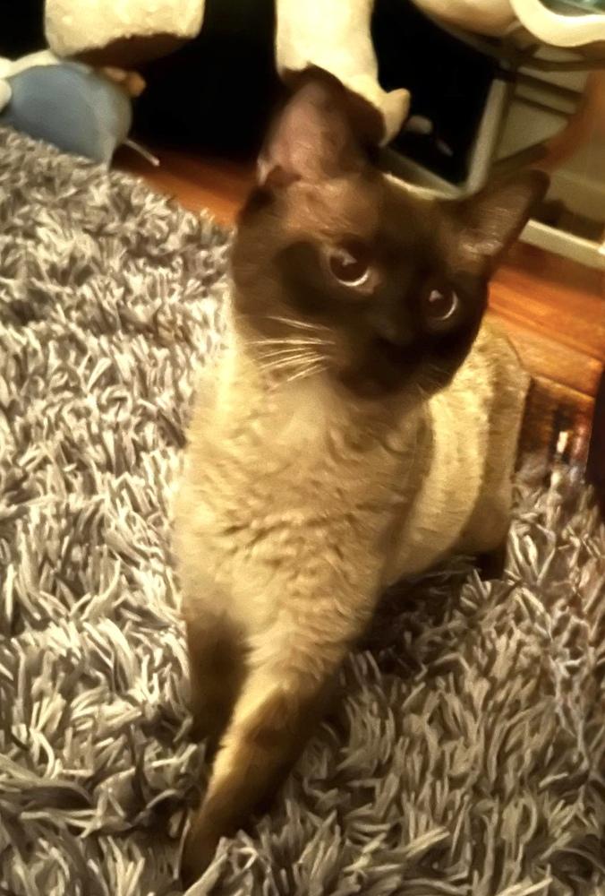 Macintosh thumbnail 3