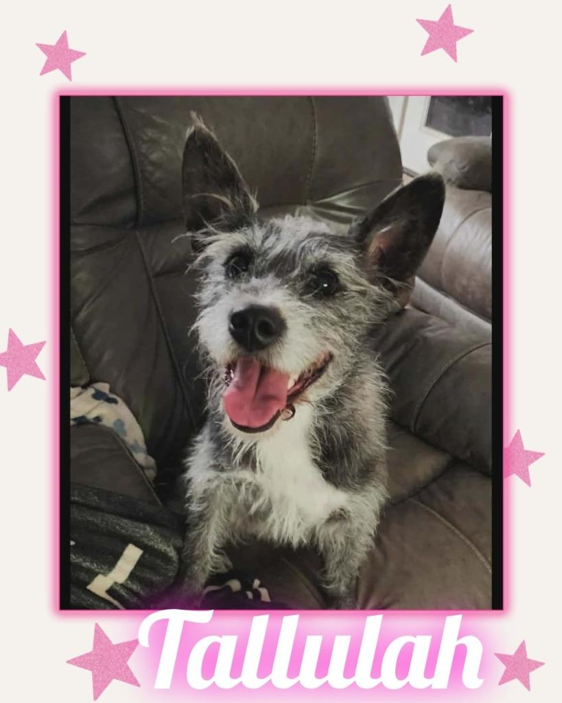 Tallulah
