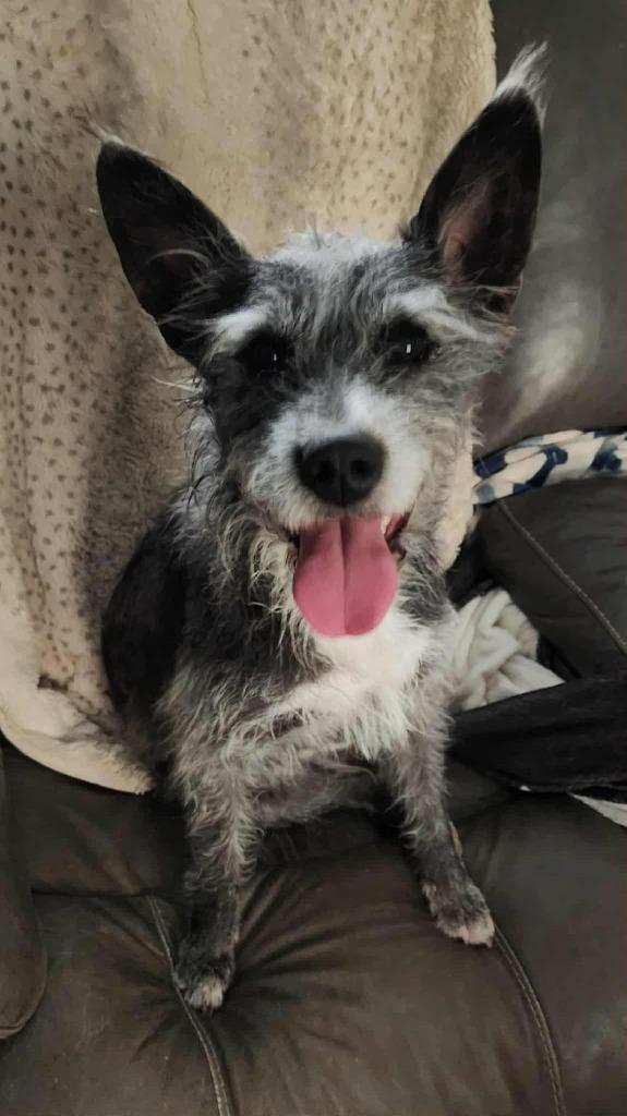 Tallulah thumbnail 2