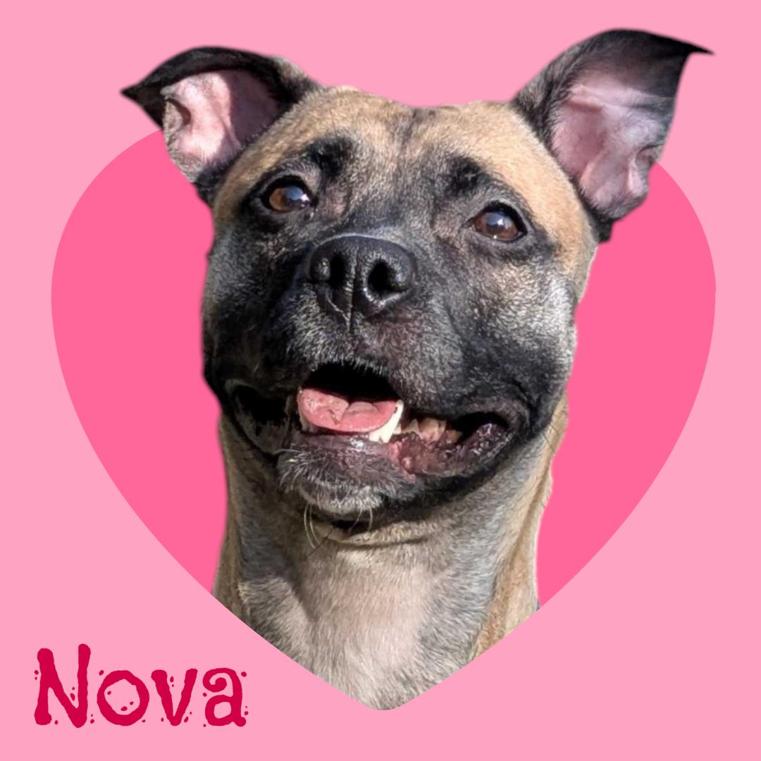 Nova