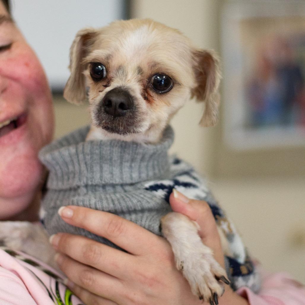 Princeton thumbnail 2