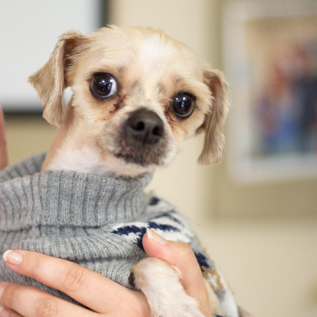 Princeton thumbnail 4