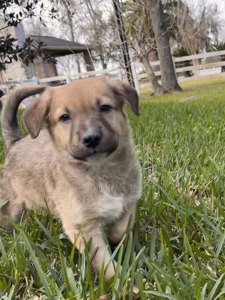 Friedrich thumbnail 3