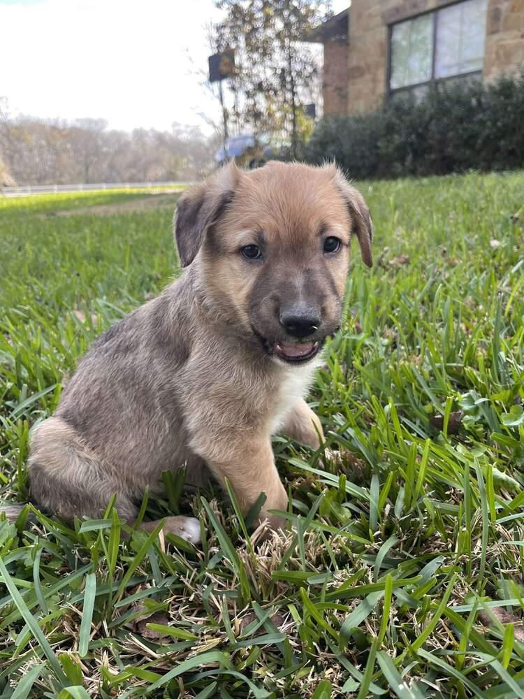 Friedrich thumbnail 4