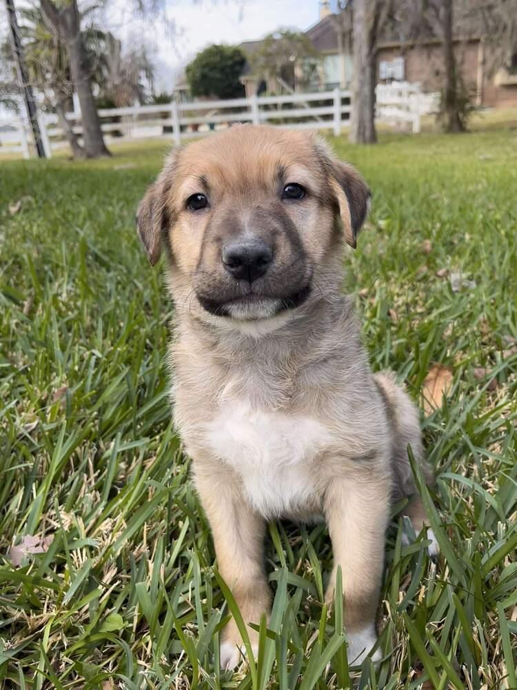 Friedrich thumbnail 5