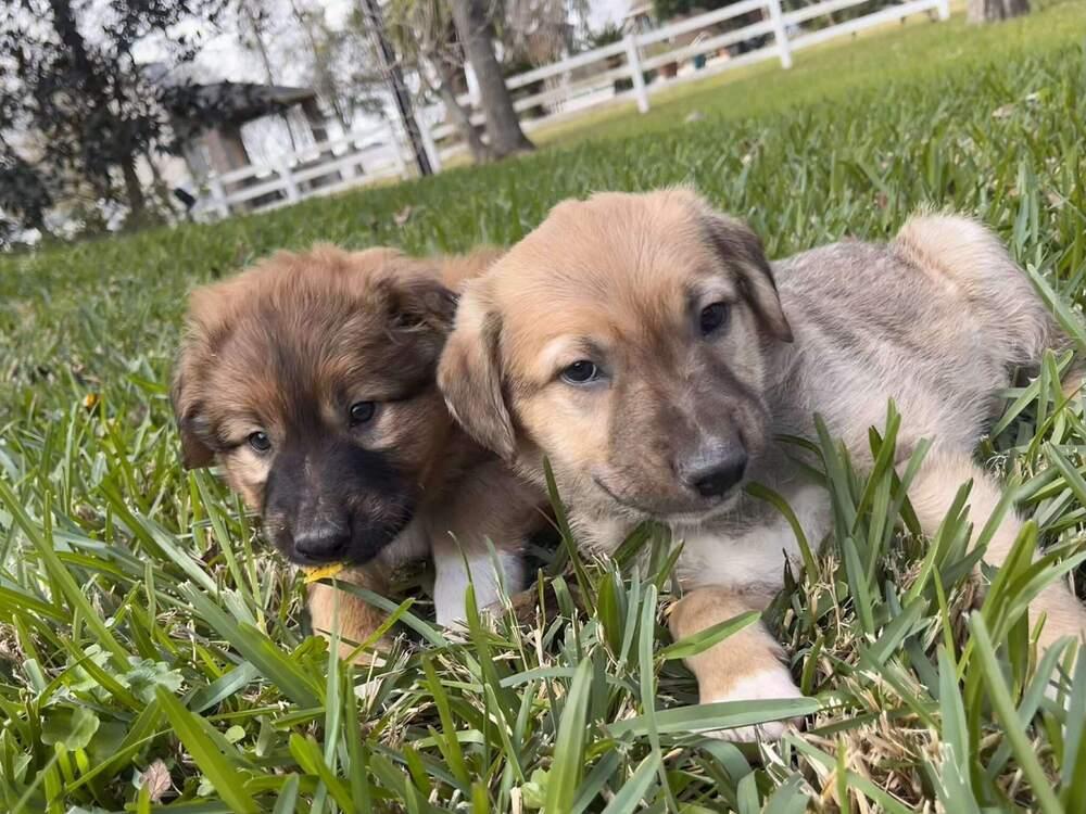 Friedrich thumbnail 6