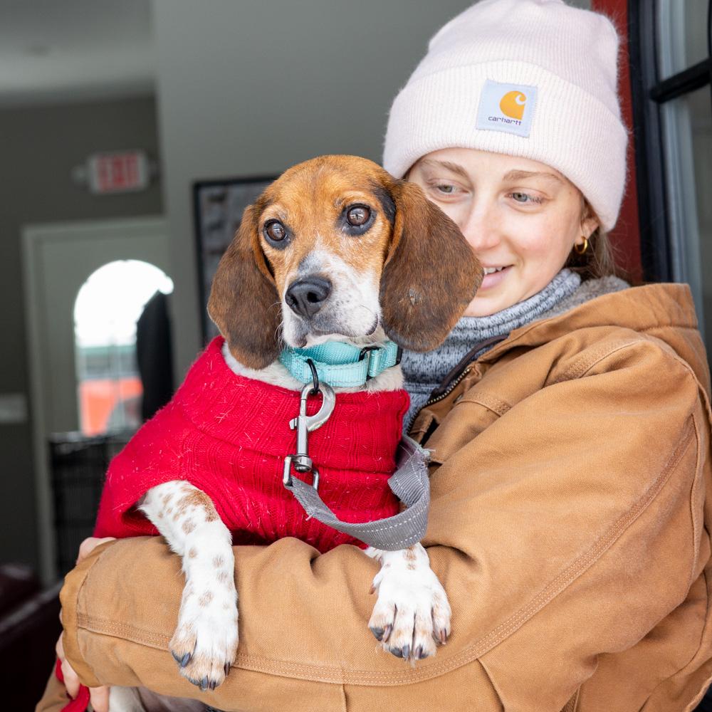 Sashaavail thumbnail 3