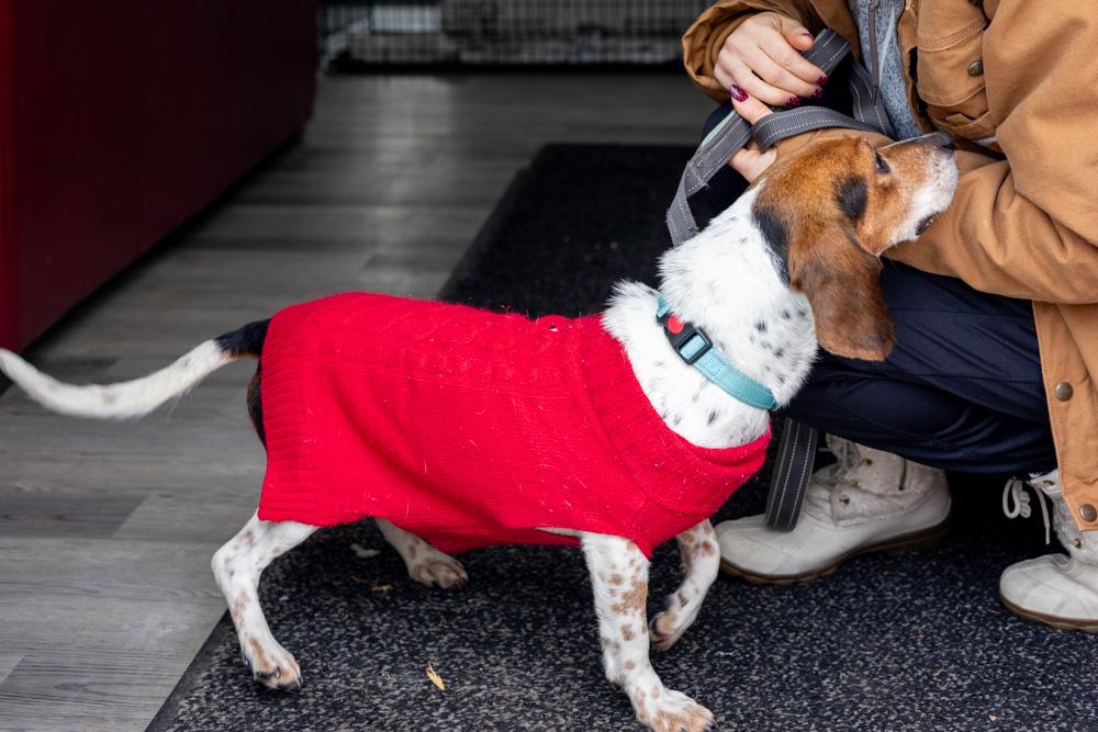 Sashaavail thumbnail 4