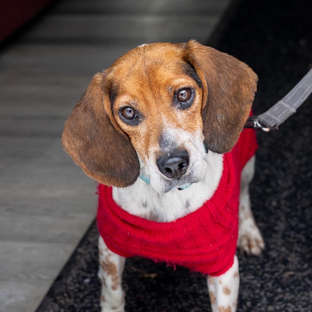 Sashaavail thumbnail 5