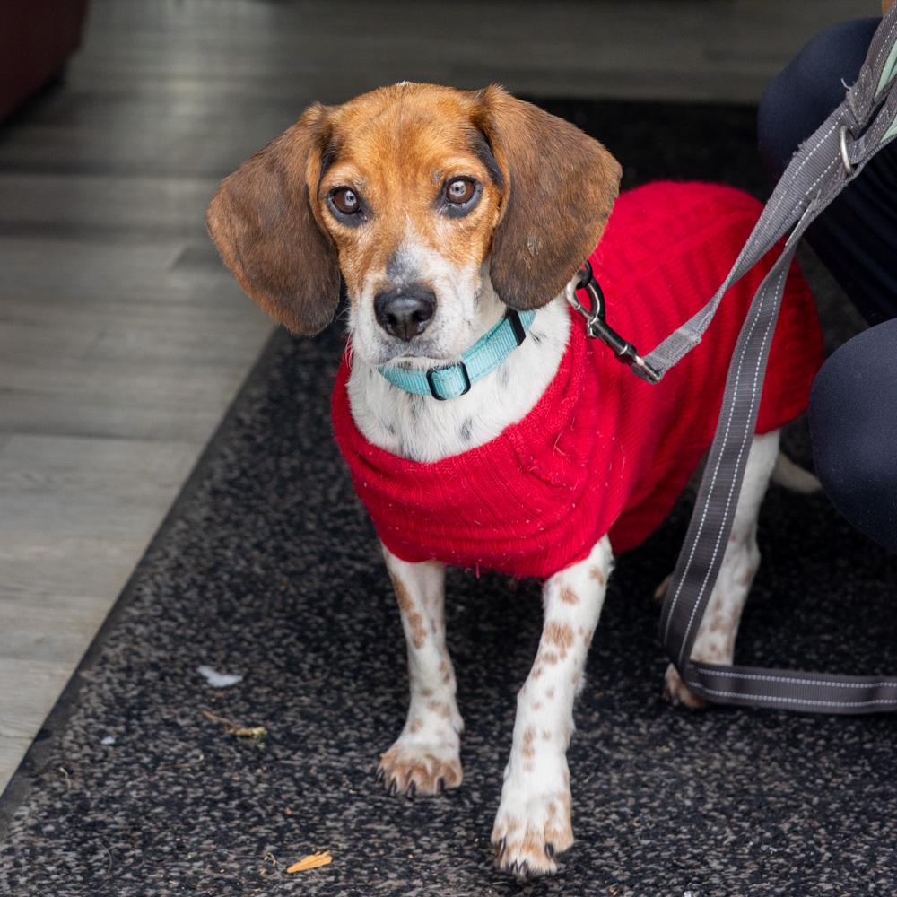 Sashaavail thumbnail 6