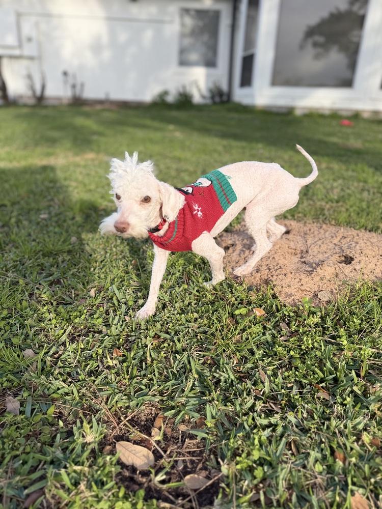 Snowbank thumbnail 2