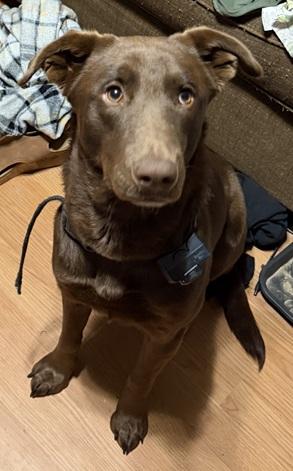 Miss Willow thumbnail 2