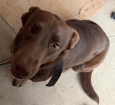 Miss Willow thumbnail 5