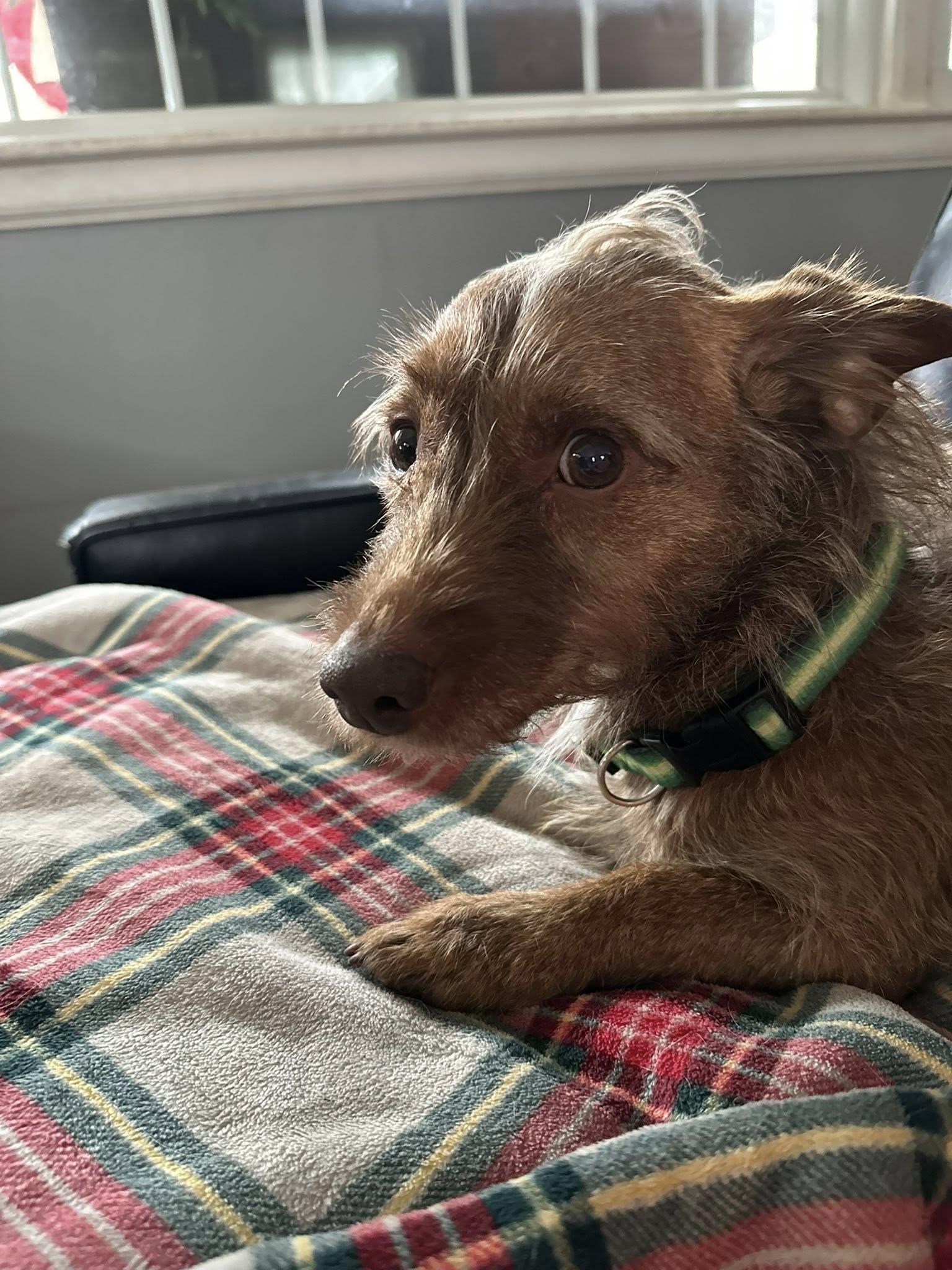 Willoughby thumbnail 4