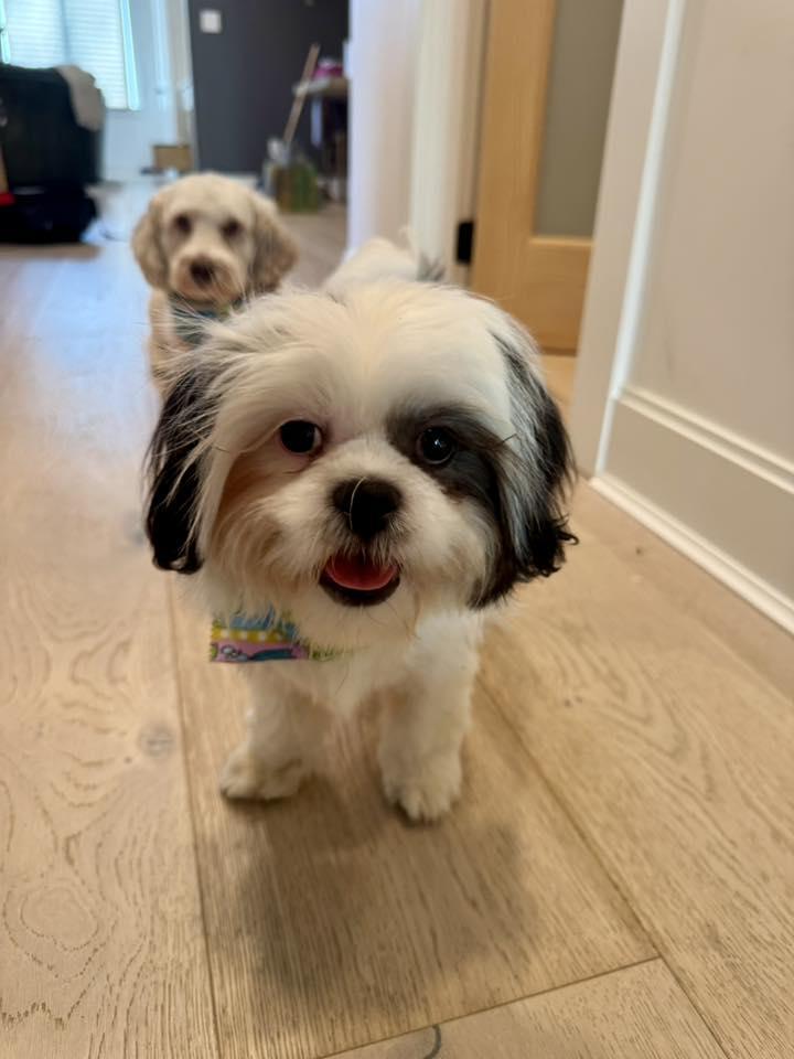 Jolly Joseph thumbnail 2