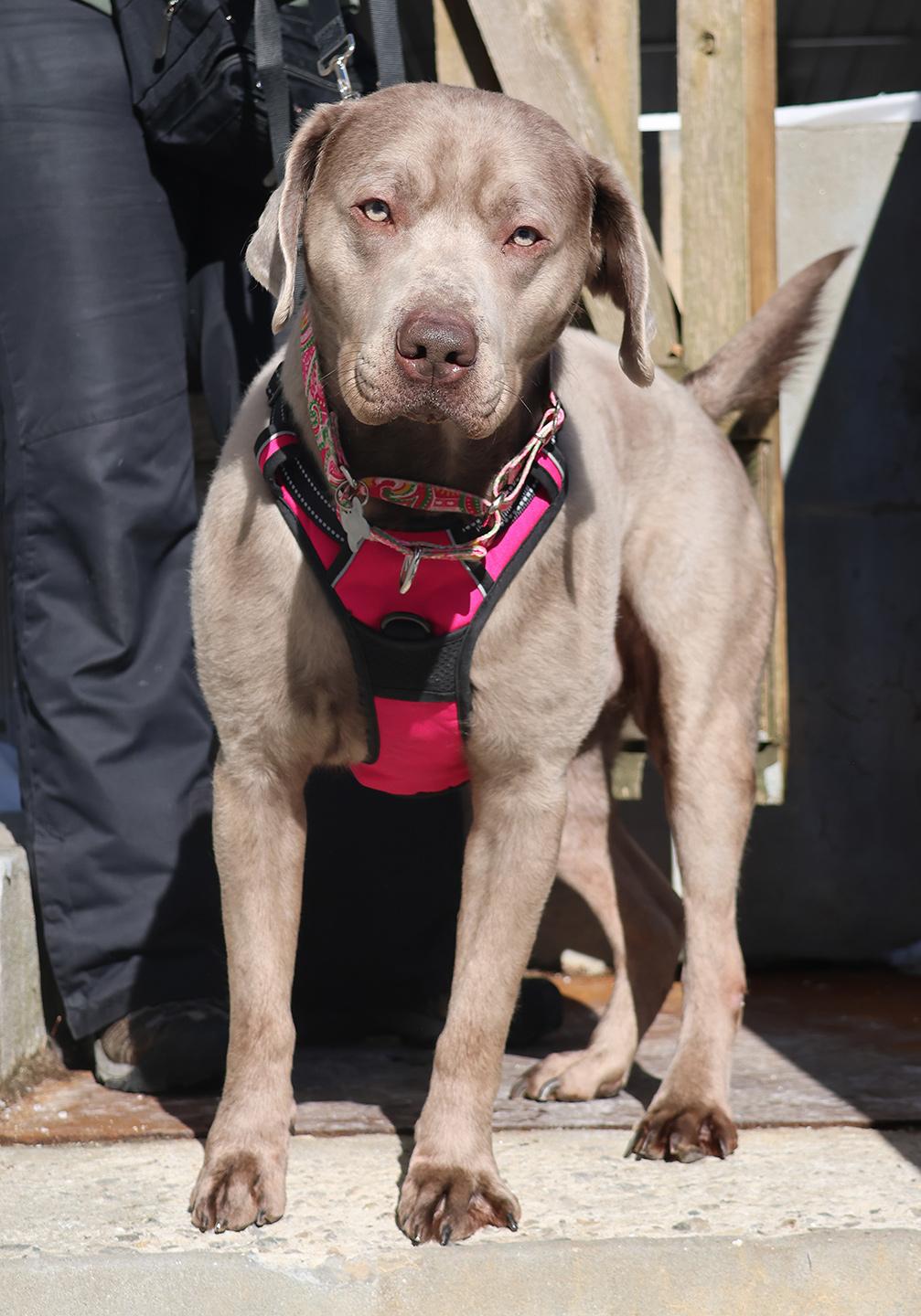 Casper Jones thumbnail 2