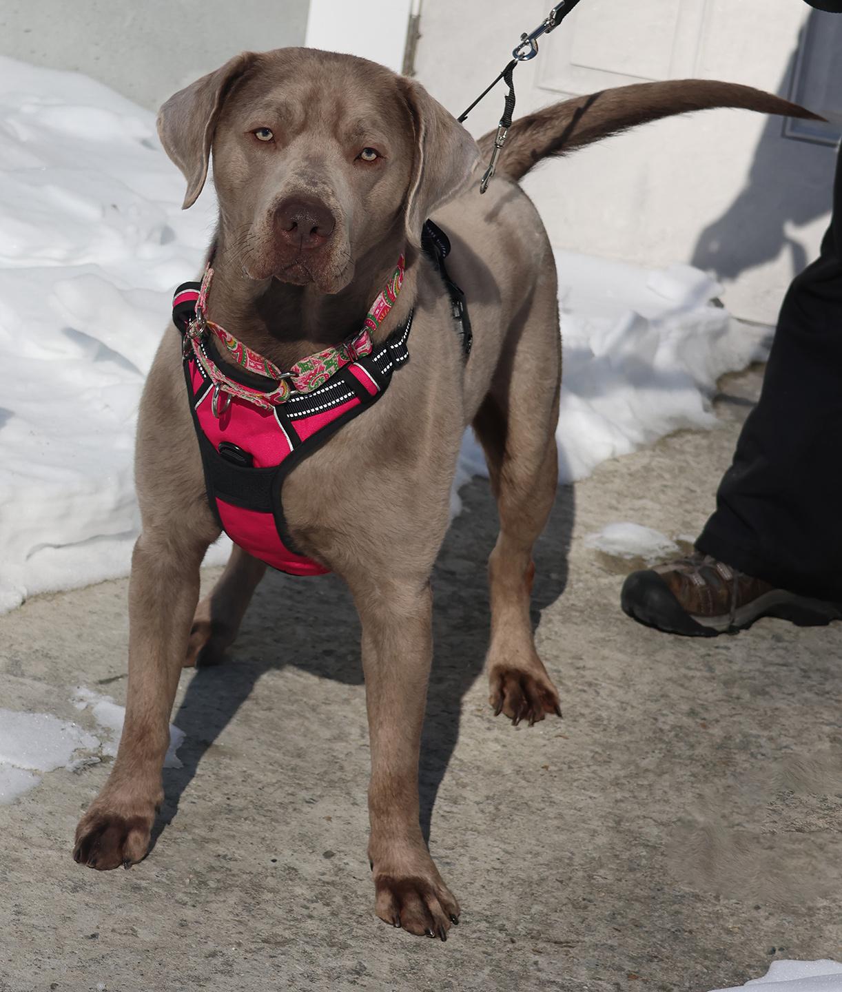 Casper Jones thumbnail 3