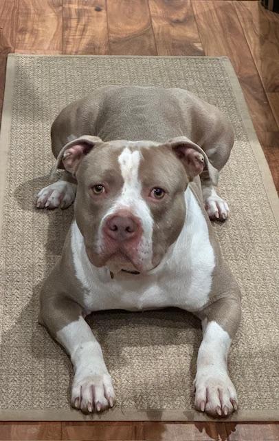 Callaway thumbnail 2