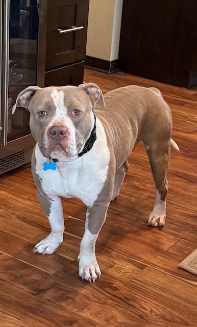 Callaway thumbnail 5