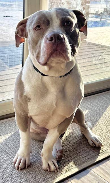 Callaway thumbnail 6