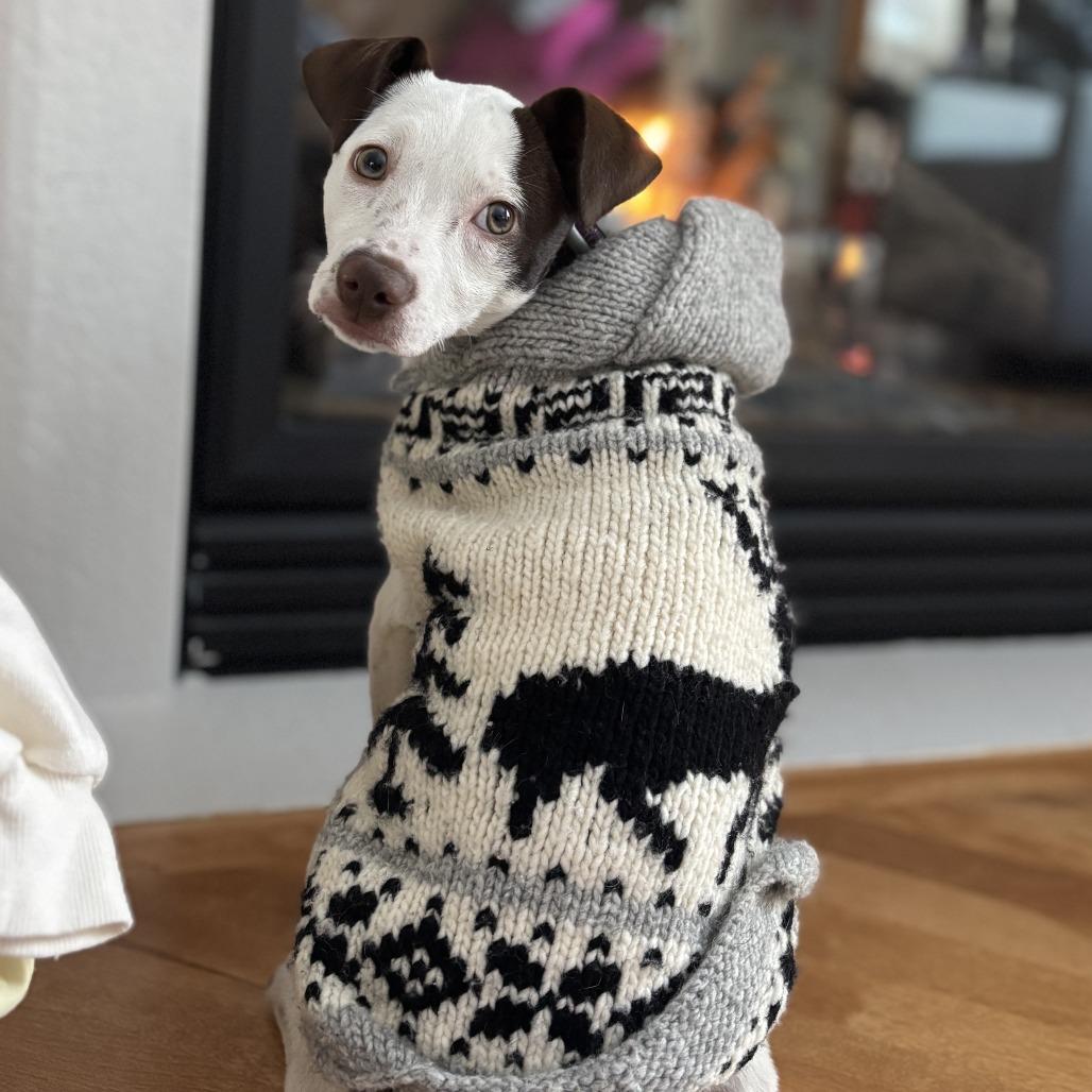 Sugar Socks D thumbnail 4