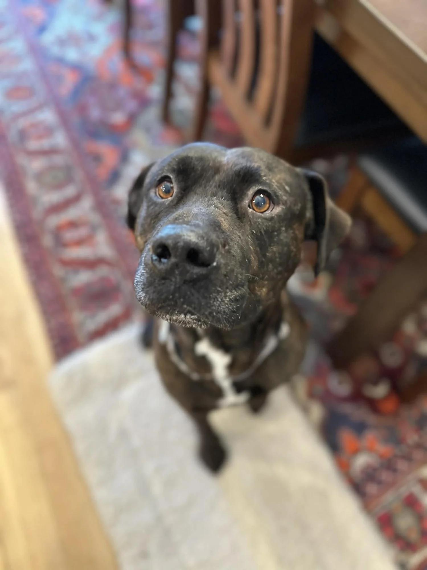 Compass Aka Mac thumbnail 2