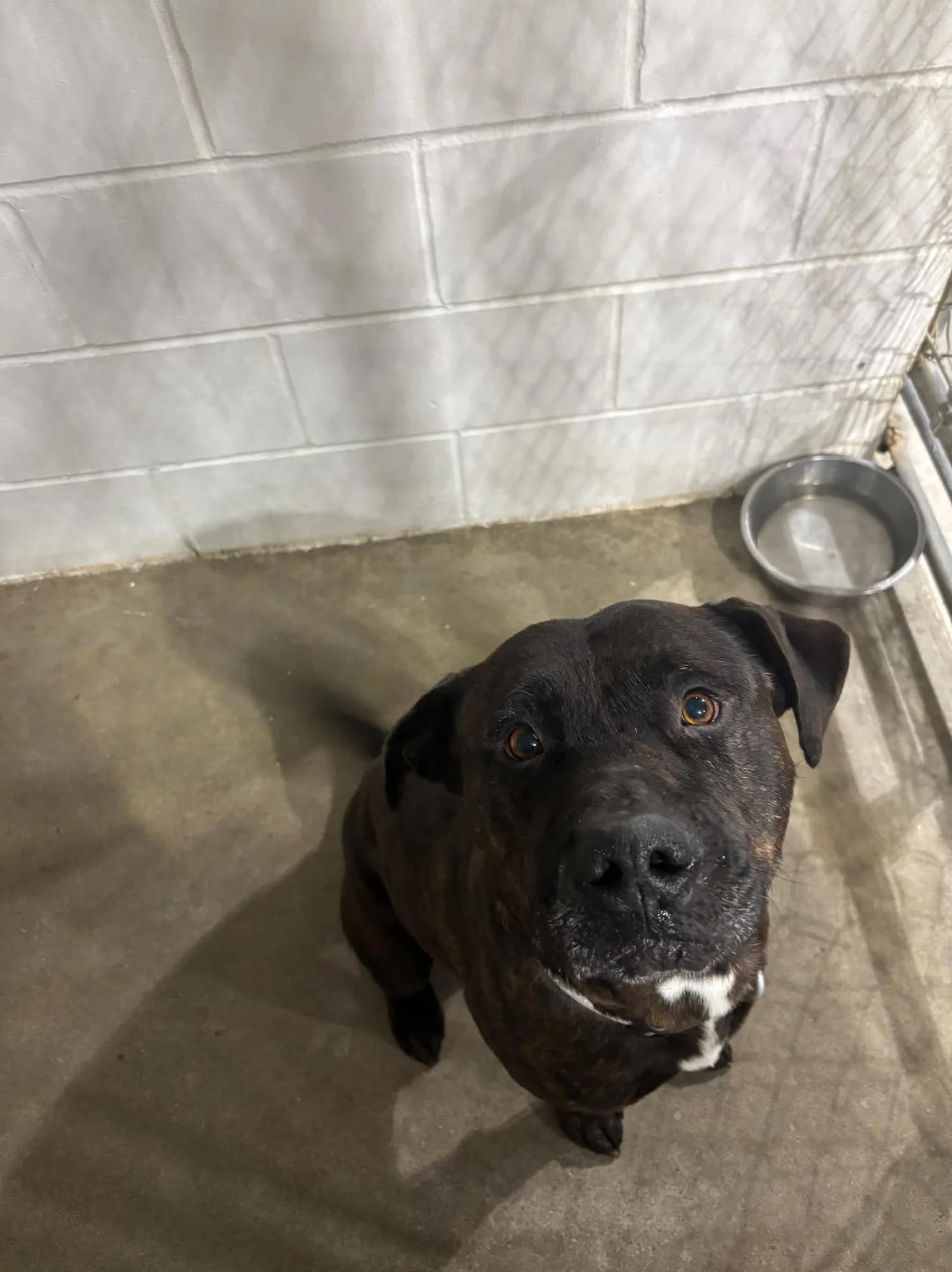 Compass Aka Mac thumbnail 3