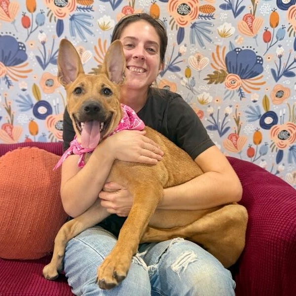 Feah Playful Little Working thumbnail 4