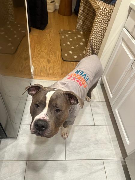 Sterling thumbnail 4