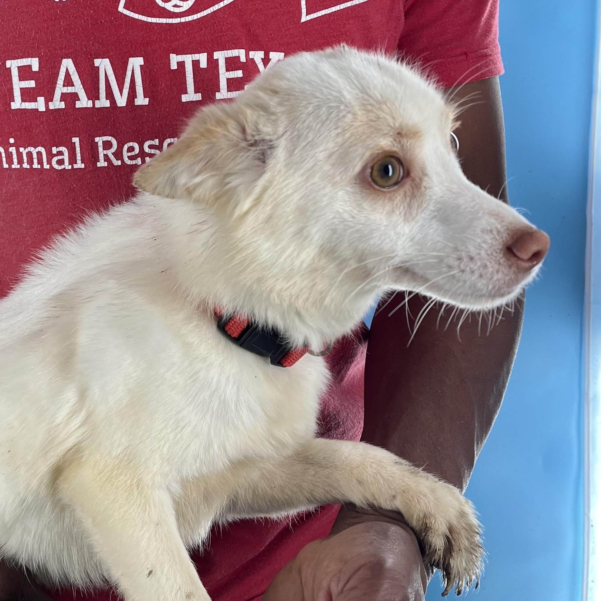 Caspin  Local February thumbnail 2