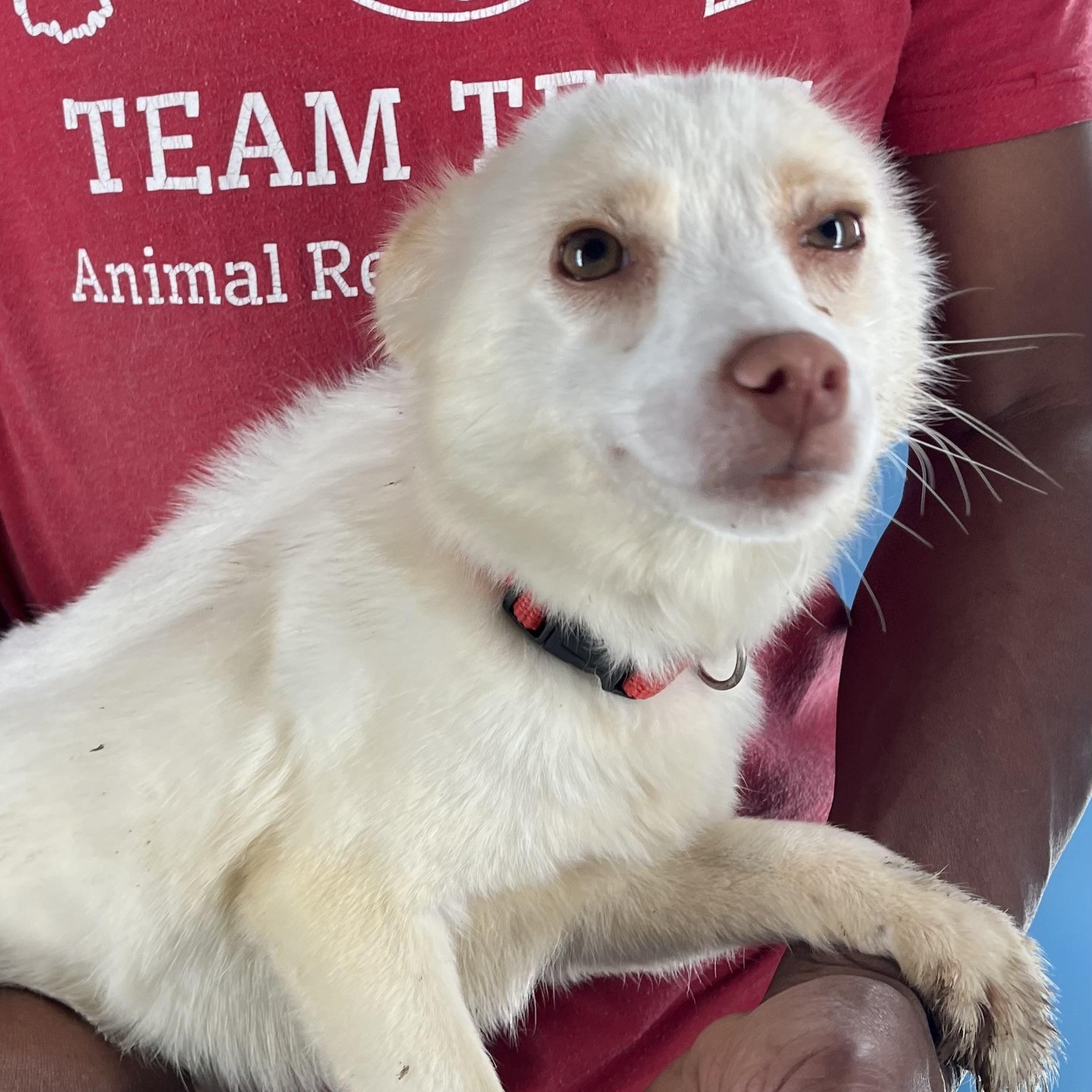 Caspin  Local February