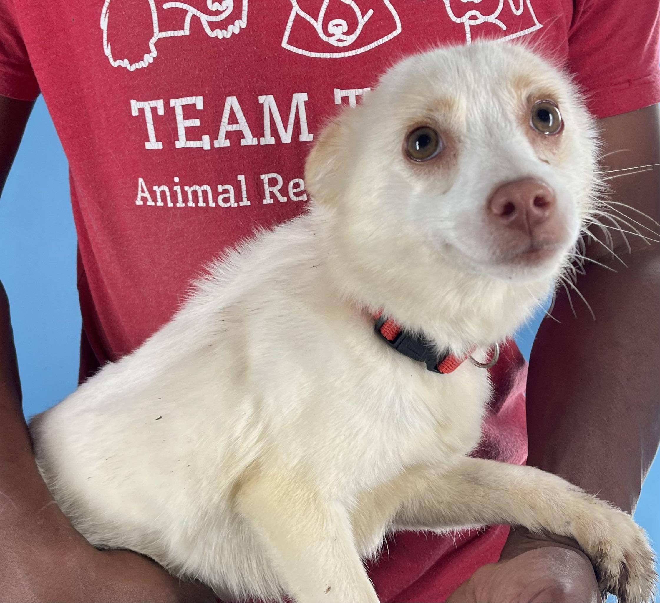 Caspin  Local February thumbnail 5