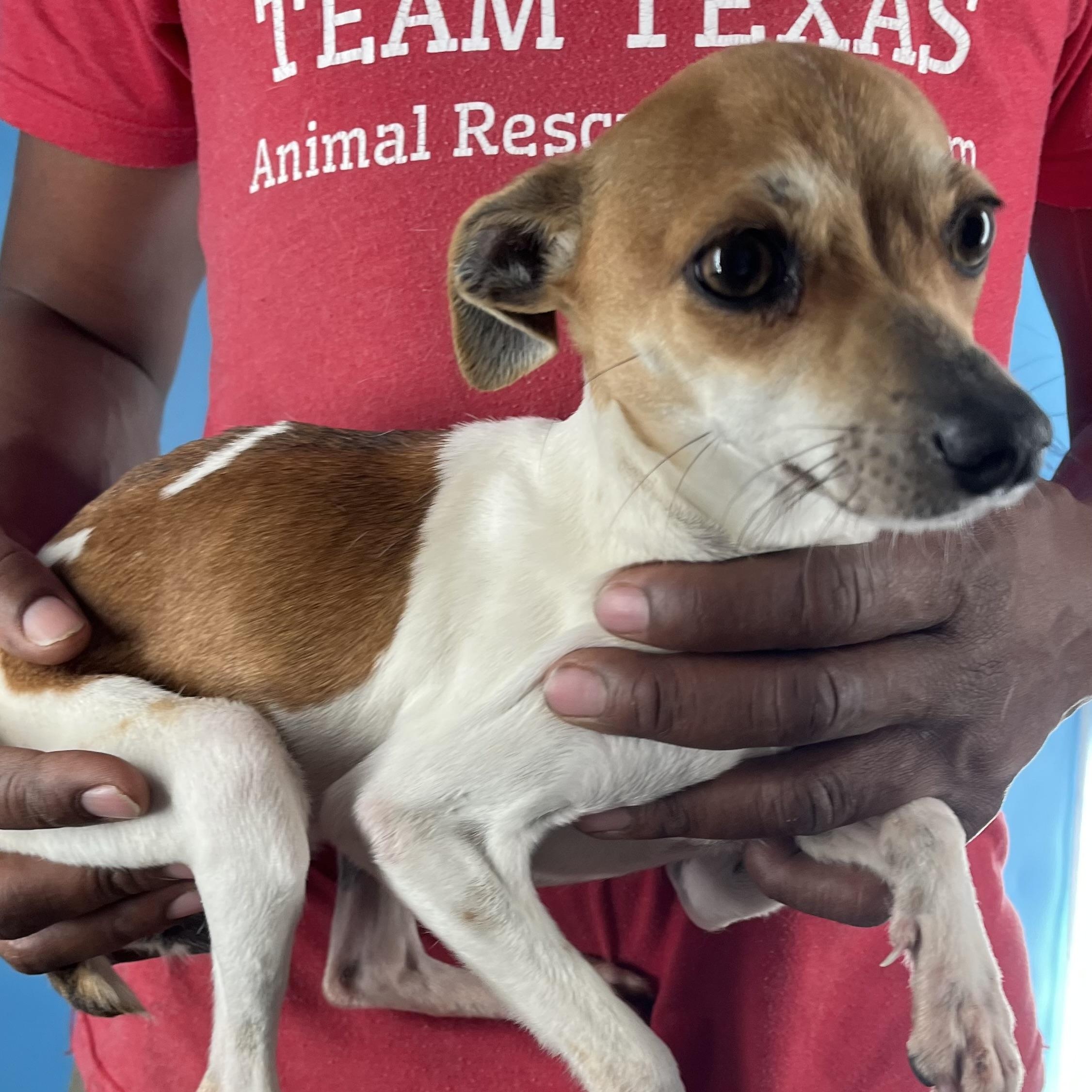 Nisha  Local February thumbnail 3