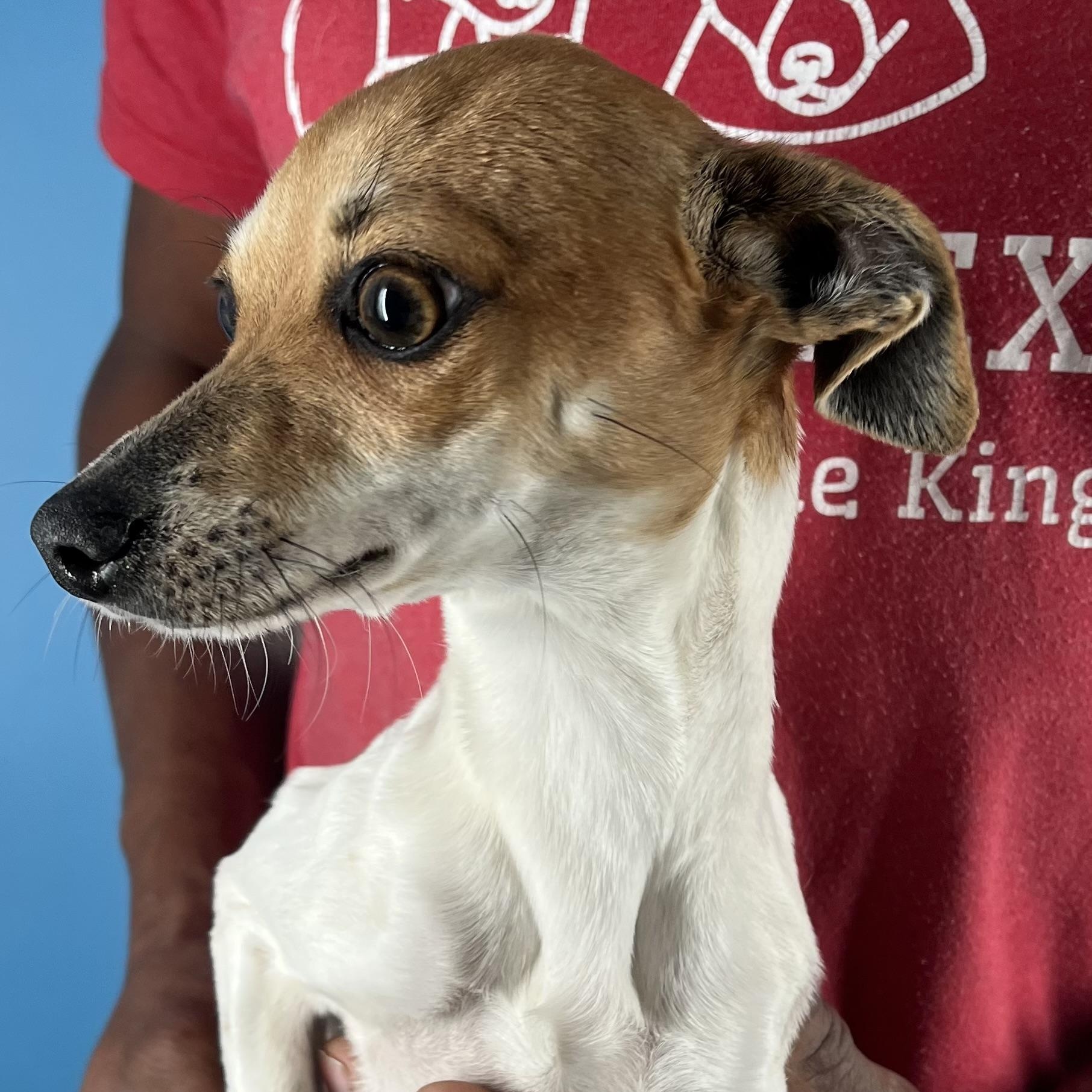 Nisha  Local February thumbnail 4