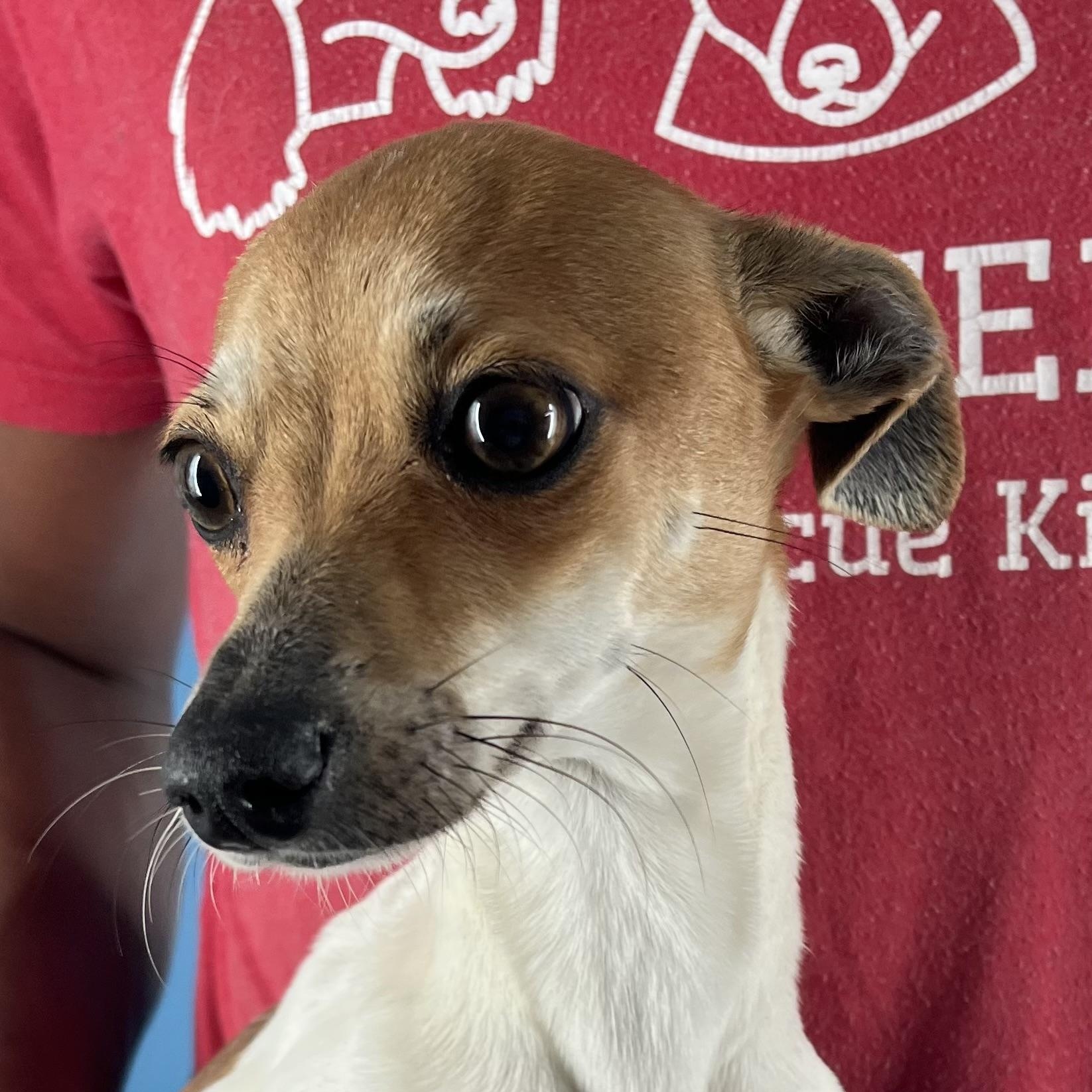 Nisha  Local February thumbnail 5