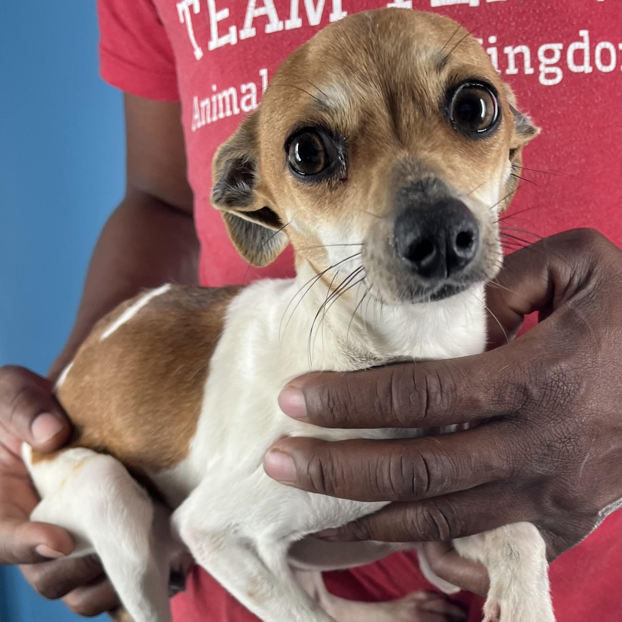 Nisha  Local February thumbnail 6