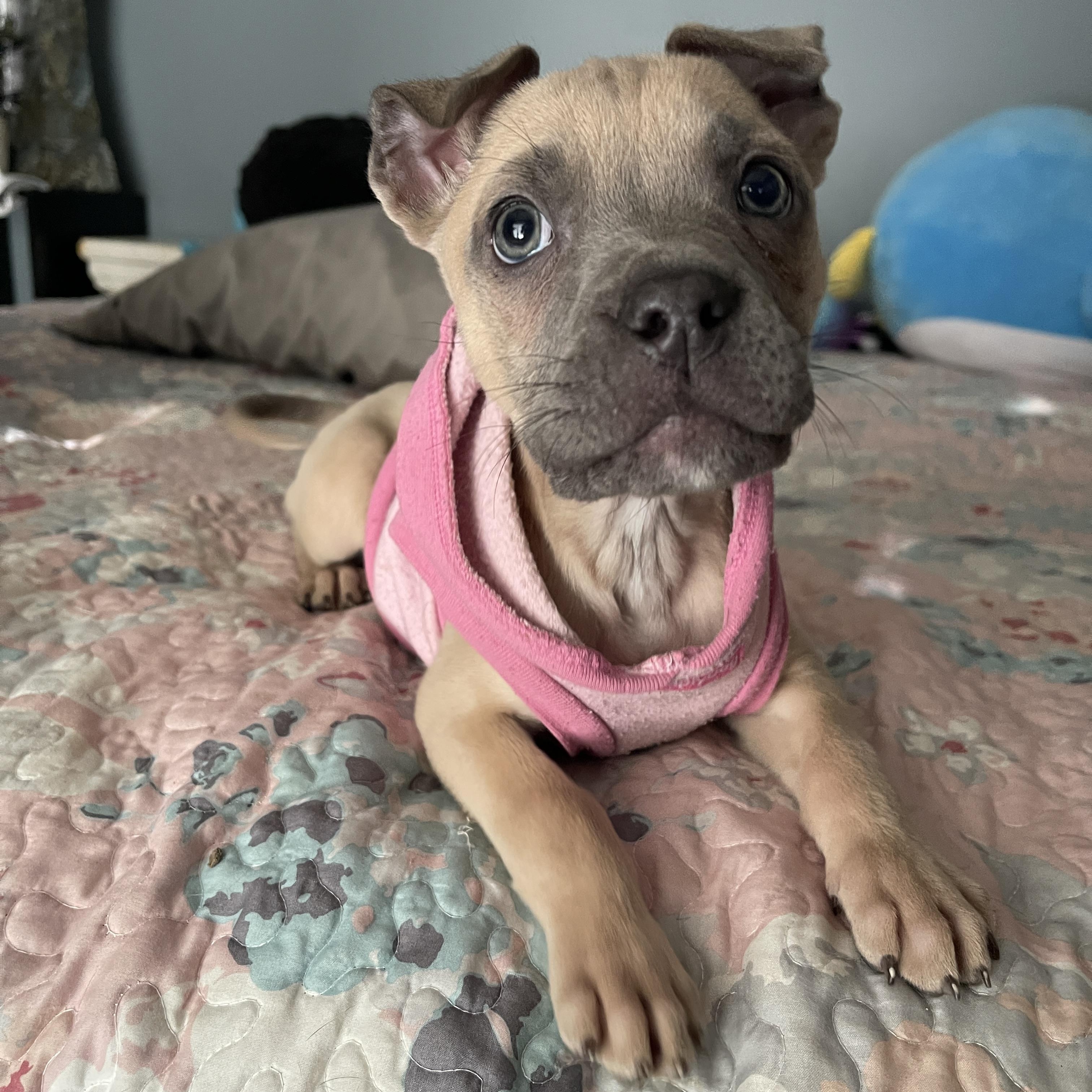 Elsa &  Siblings thumbnail 3