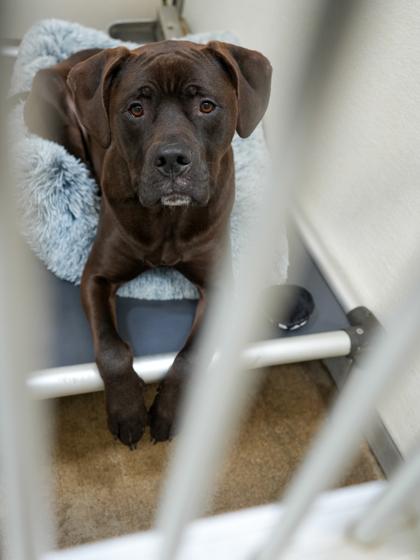 Vader~ Sponsored! thumbnail 2