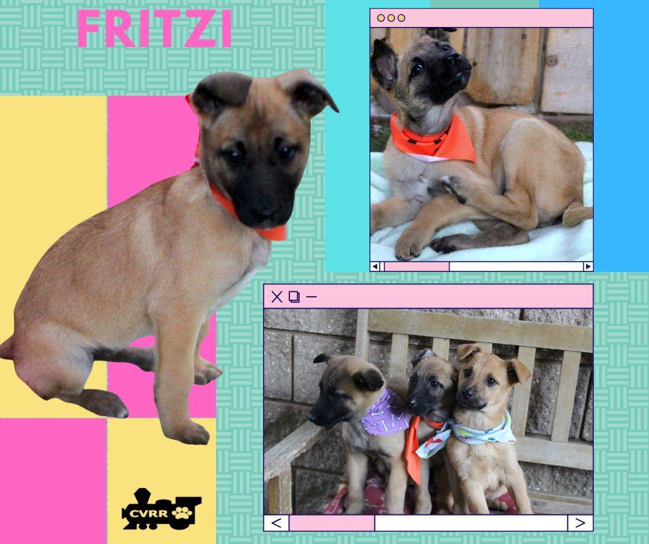 Fritzi