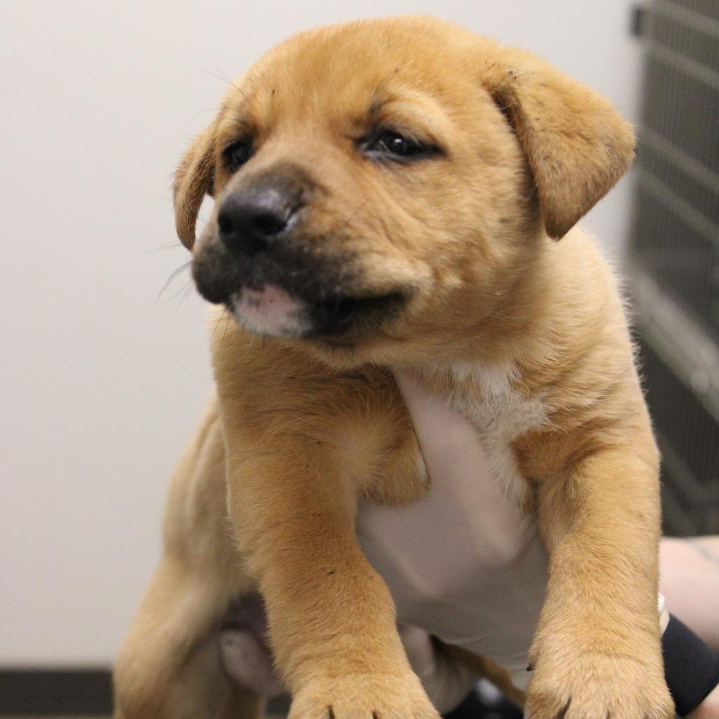 Millie Muffin thumbnail 2